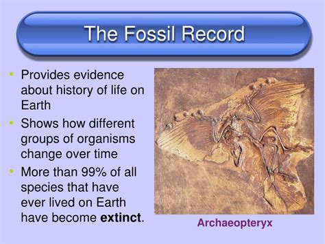 fossil history wikipedia.